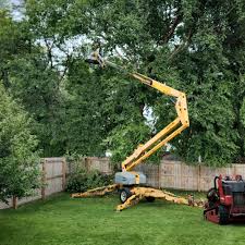 Best Hazardous Tree Removal  in Nooksack, WA