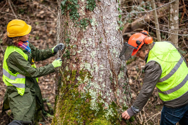 Best Arborist Consultation Services  in Nooksack, WA